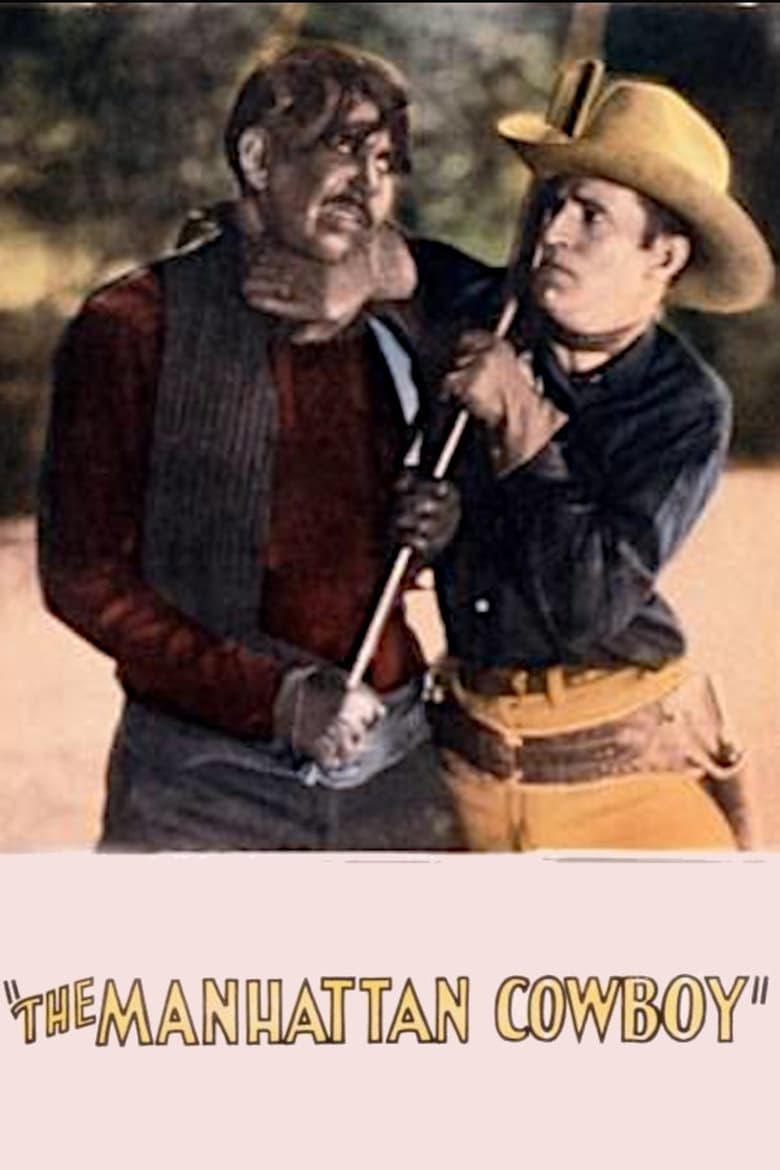 Poster of Manhattan Cowboy