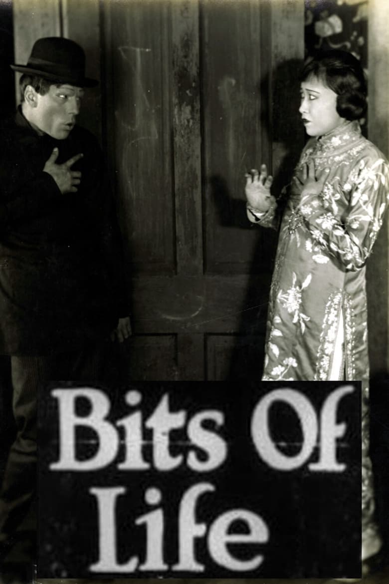 Poster of Bits of Life