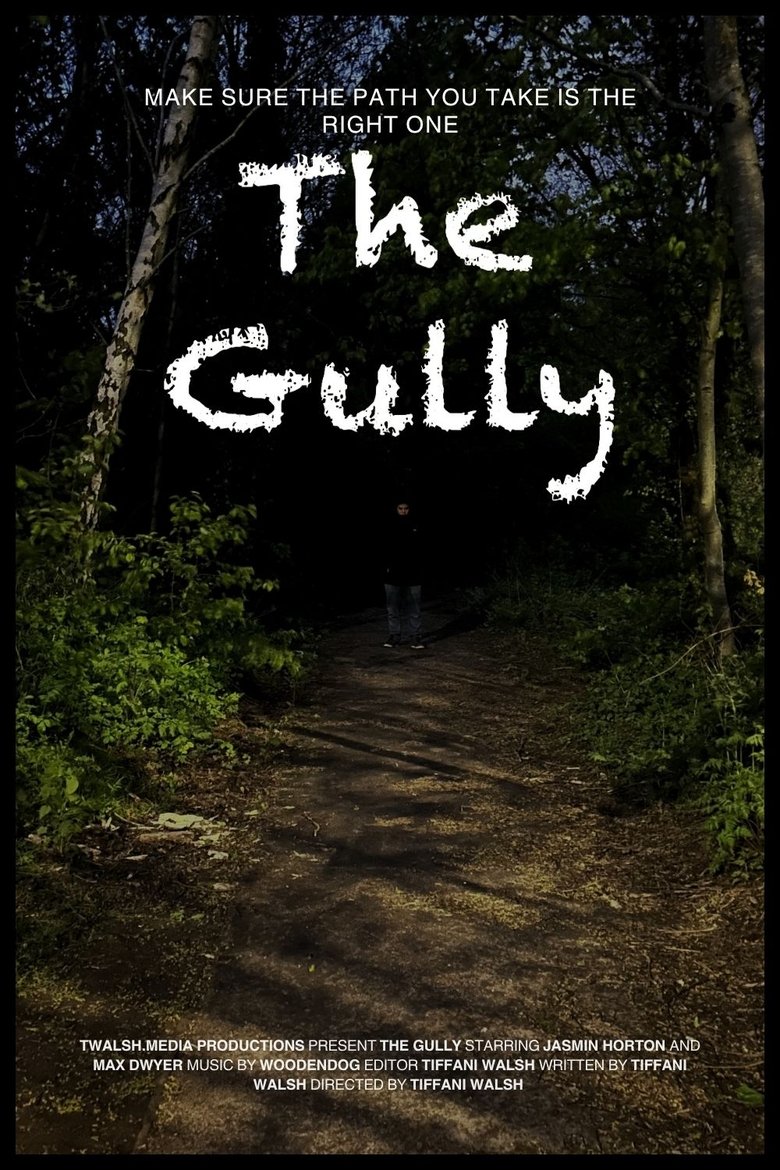 Poster of The Gully