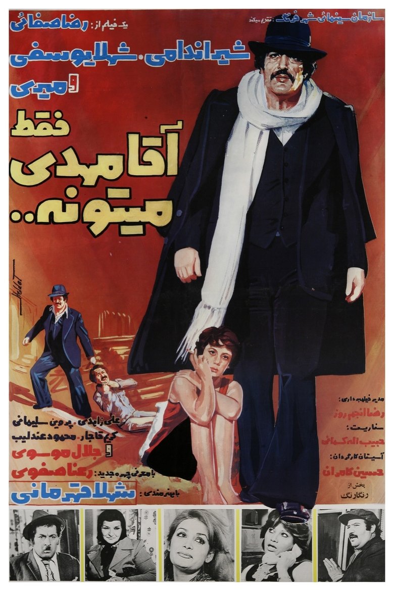 Poster of Only Mr. Mehdi Can