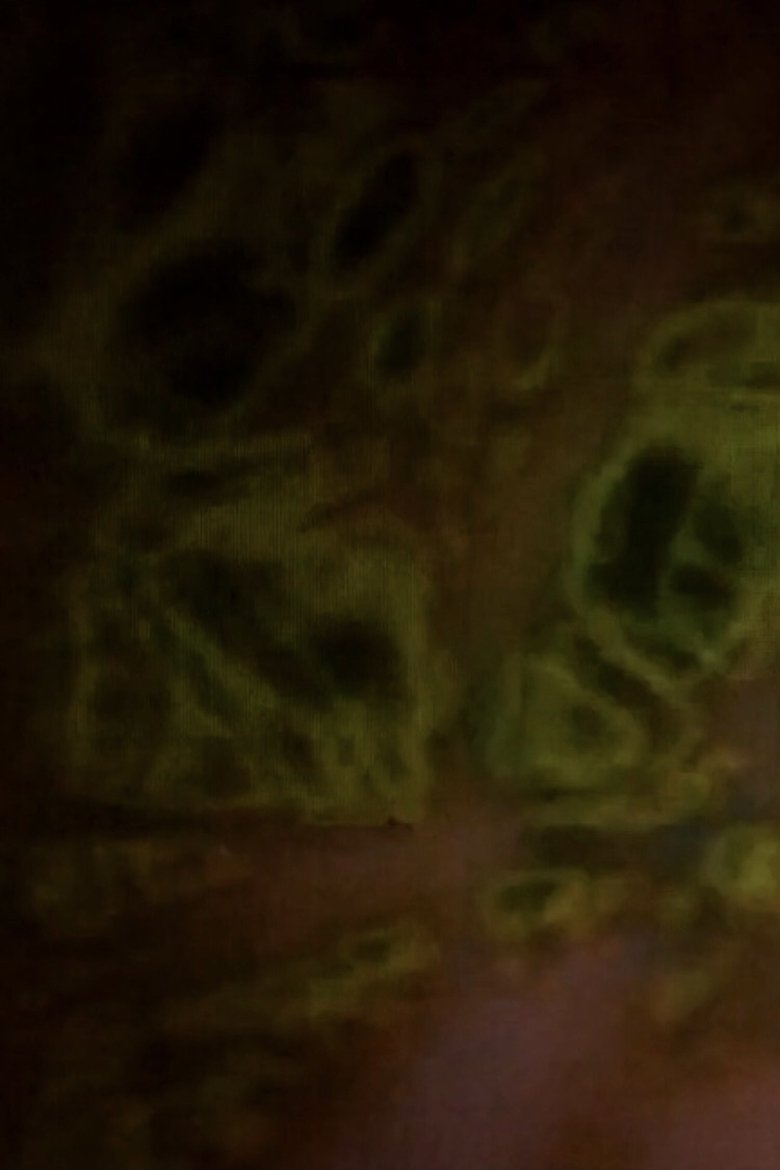 Poster of Development From The Ground