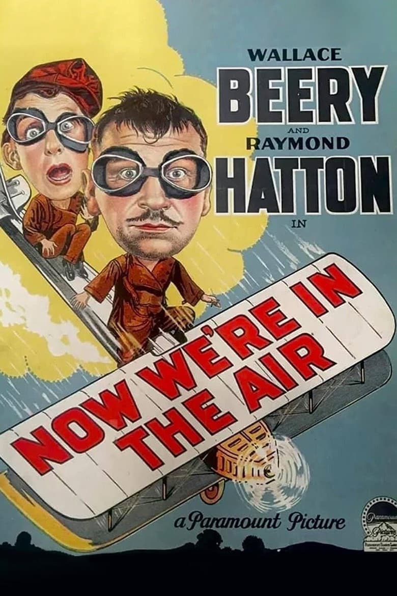 Poster of Now We're in the Air