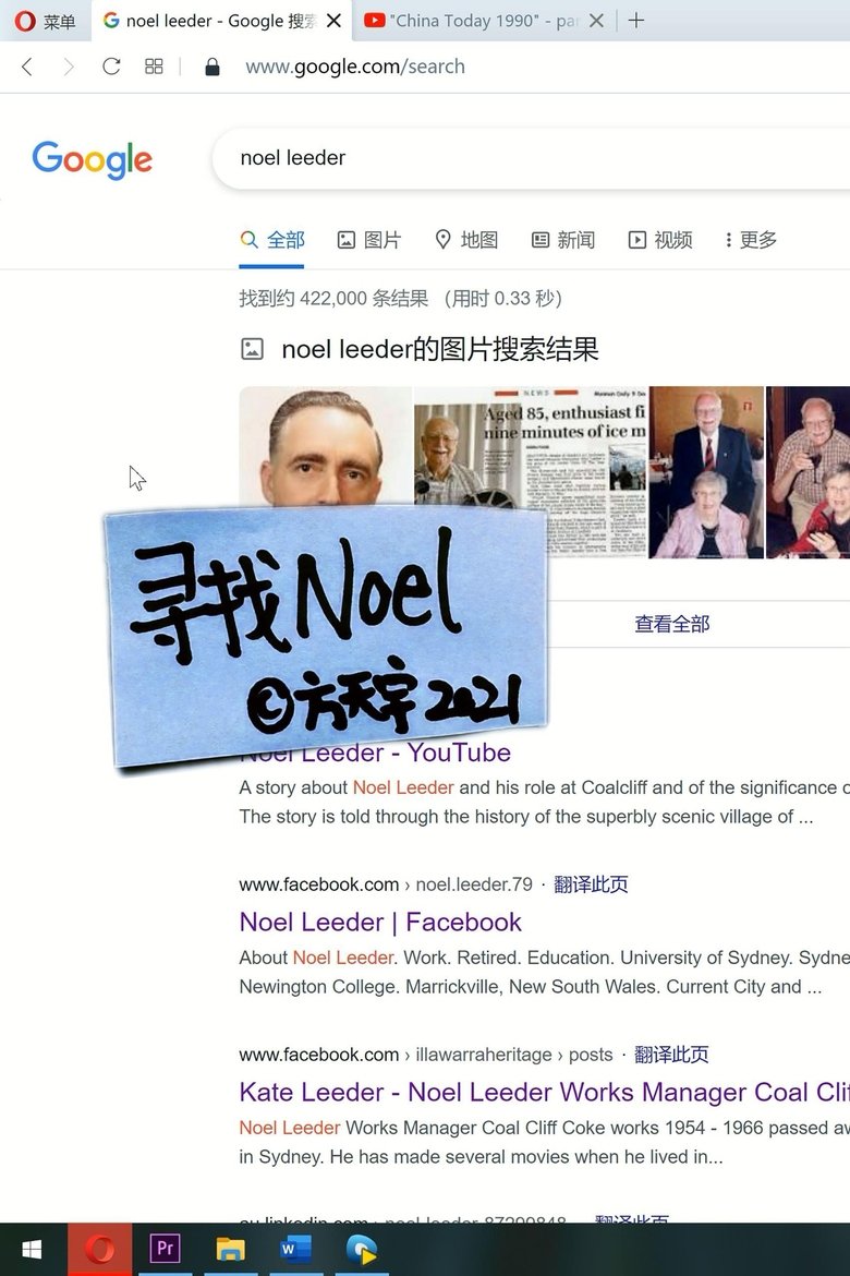 Poster of Searching for Noel