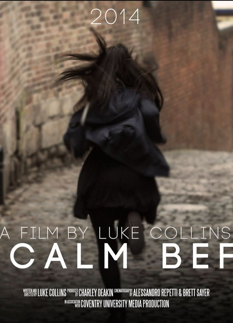 Poster of The Calm Before