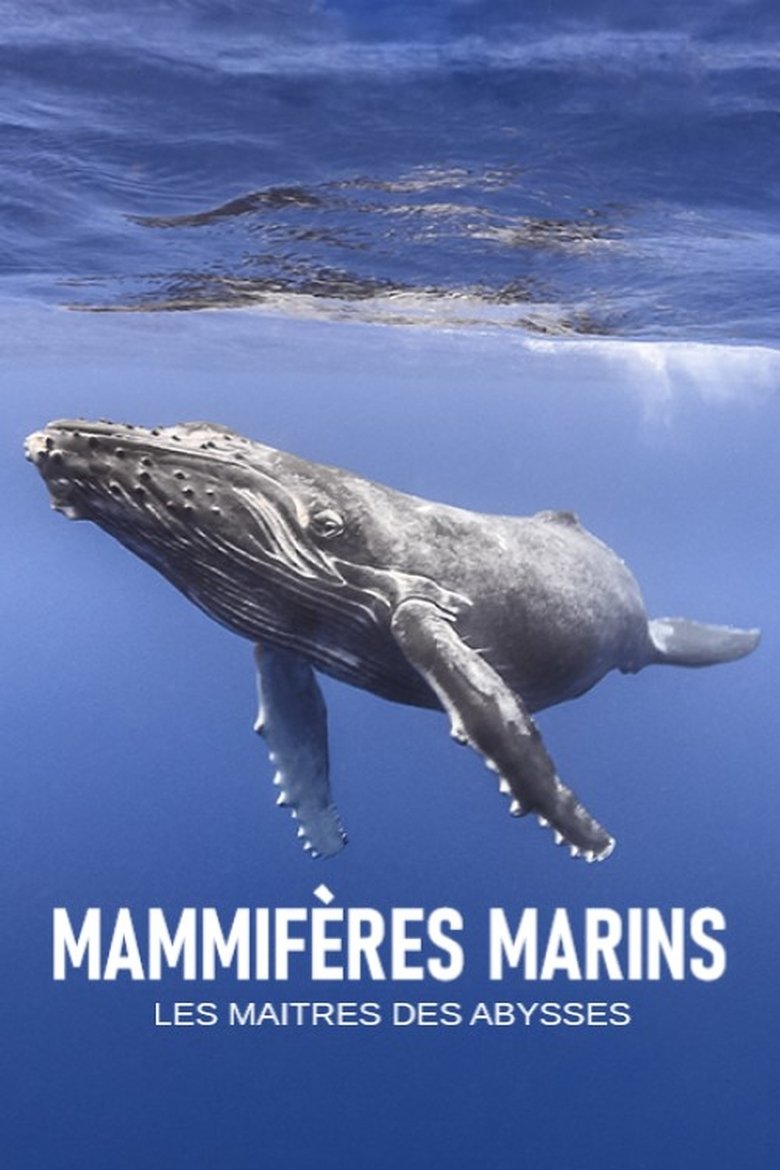 Poster of Mammifères marins, les maîtres des abysses