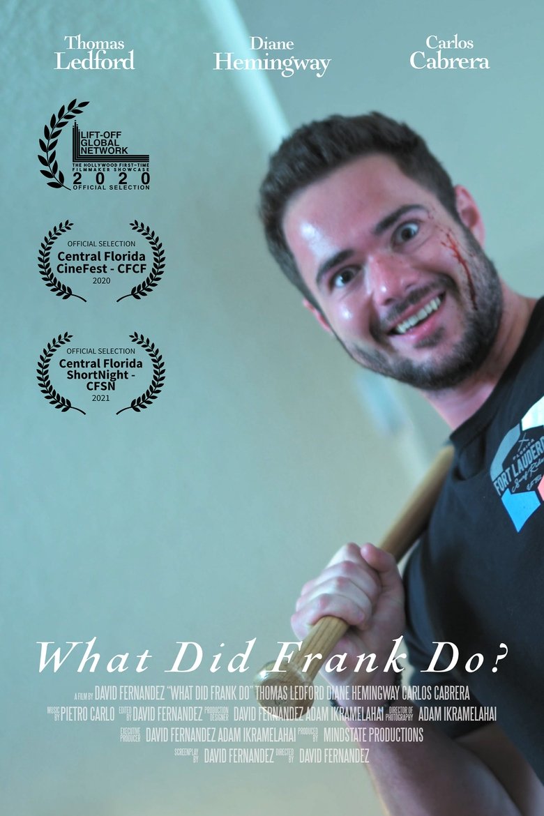 Poster of What Did Frank Do?