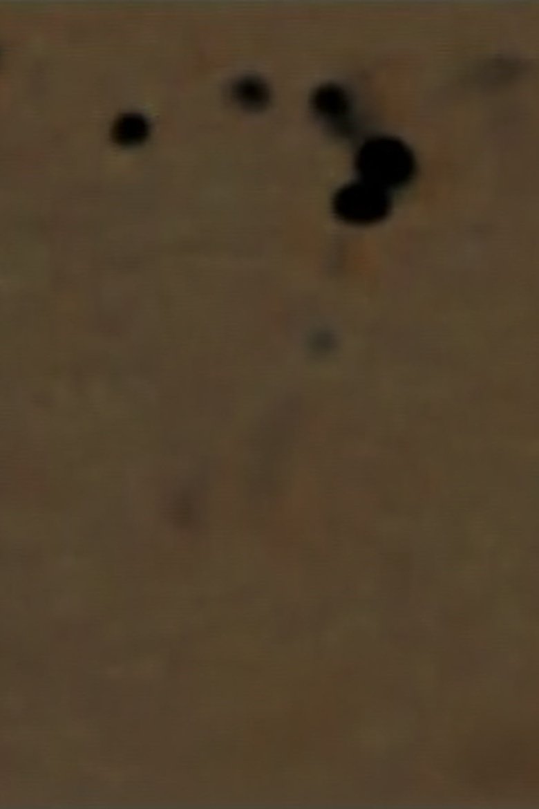 Poster of Confusion