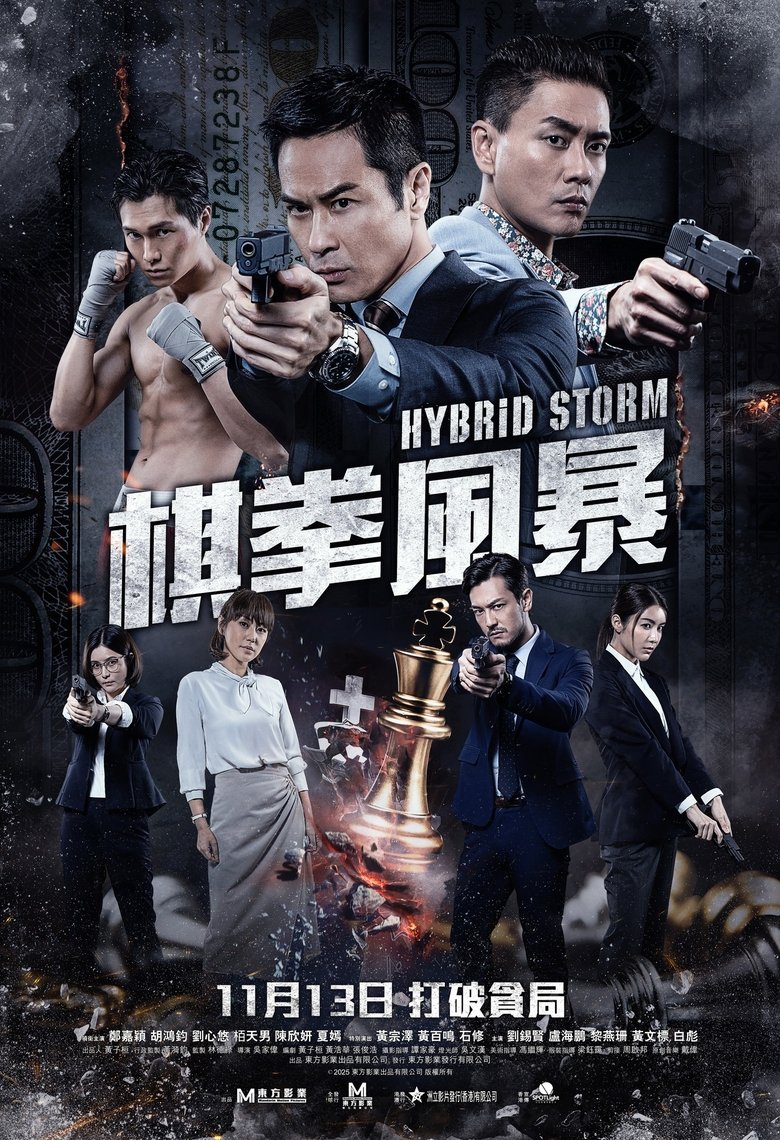 Poster of Hybrid Storm