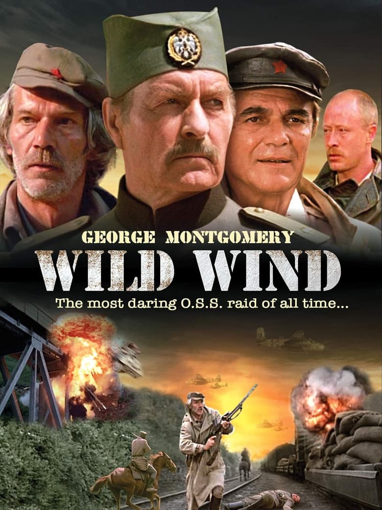 Poster of Wild Wind