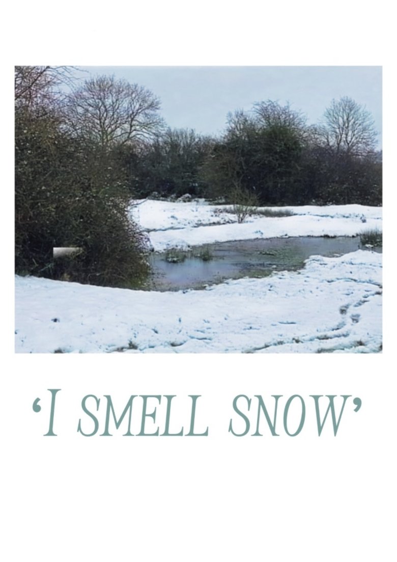 Poster of ‘I smell snow’