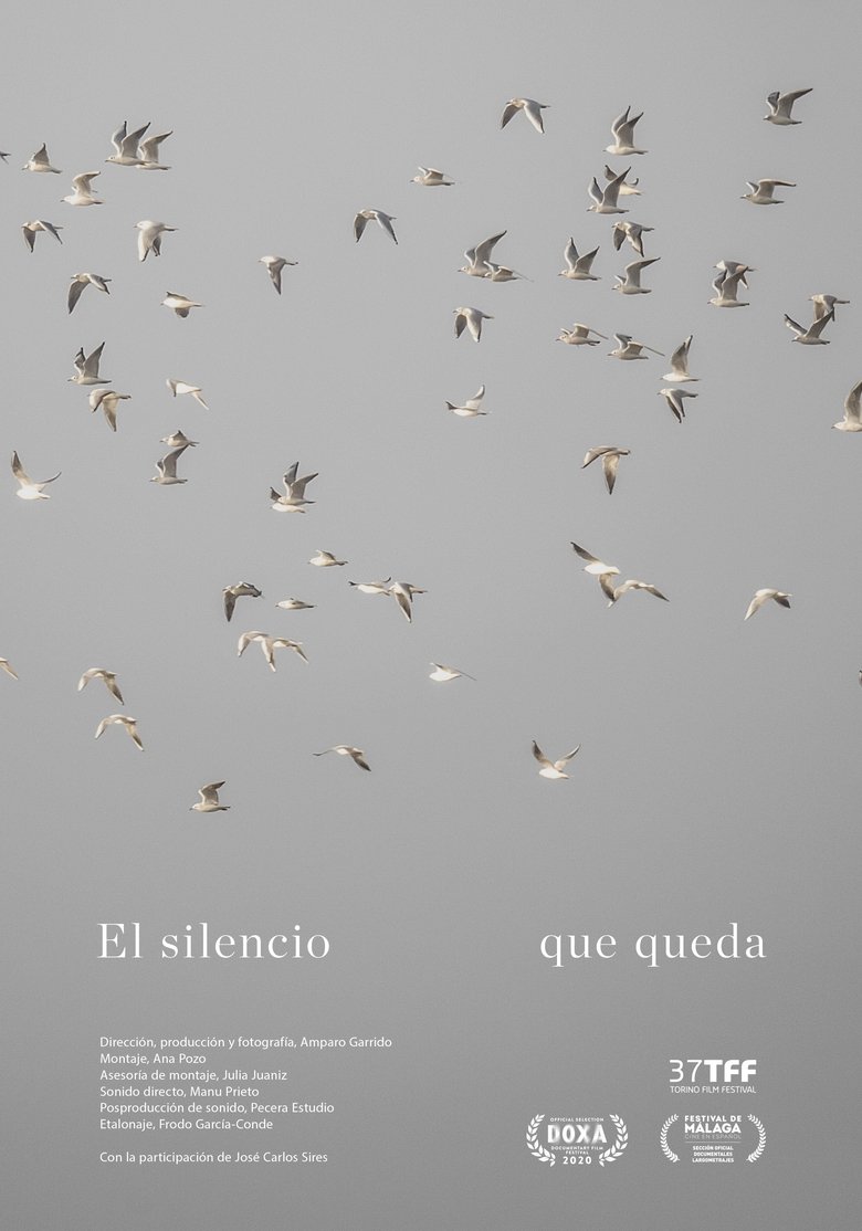 Poster of El silencio que queda