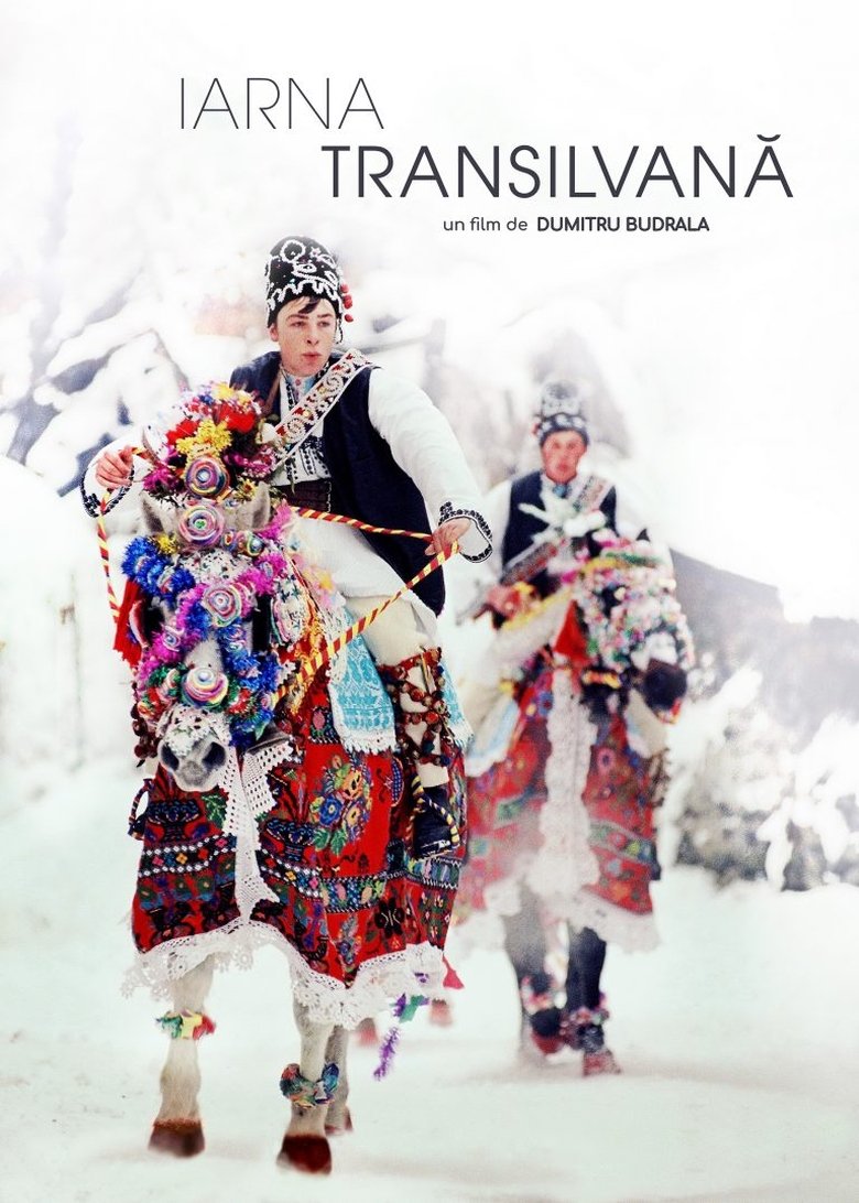 Poster of Transylvanian Winter