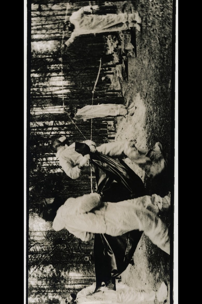 Poster of Documenting The War