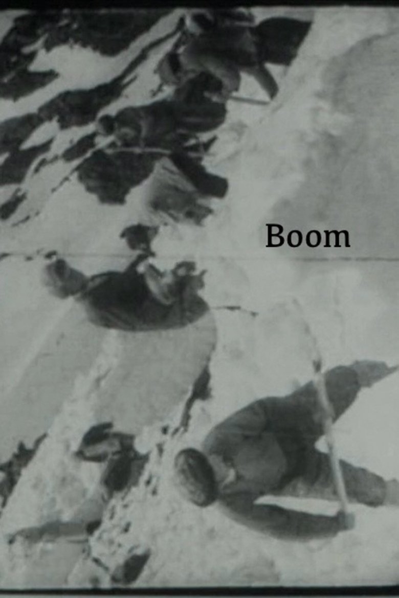 Poster of Boom