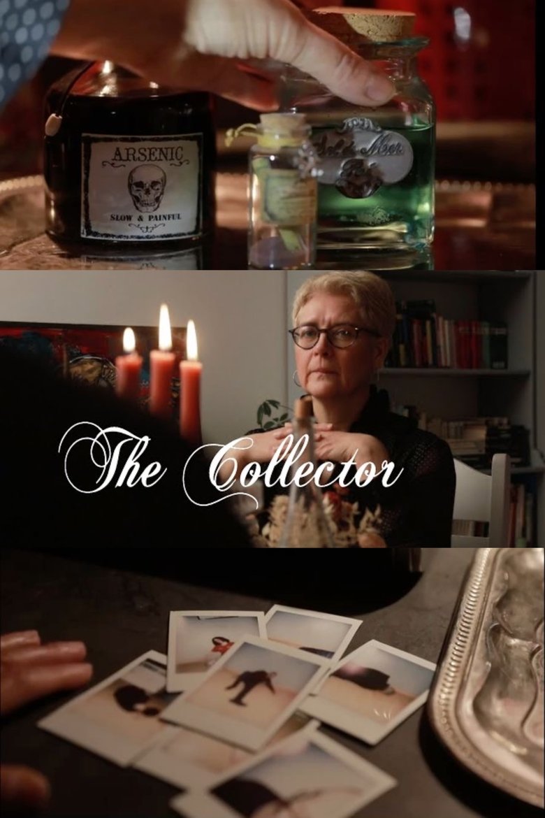 Poster of The collector