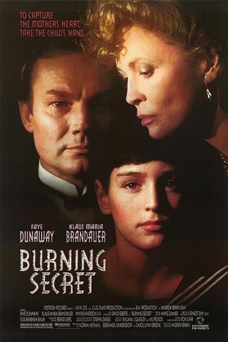 Poster of Burning Secret