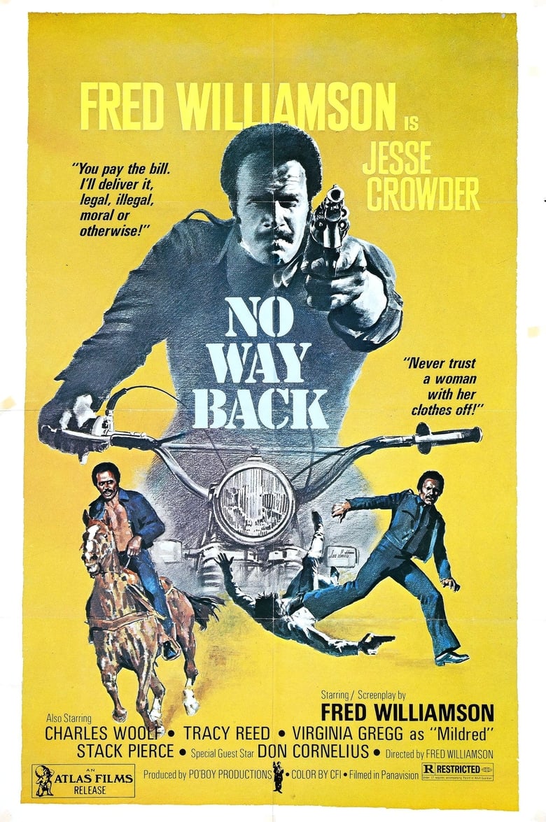 Poster of No Way Back
