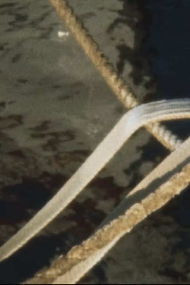 Poster of Harbour Film