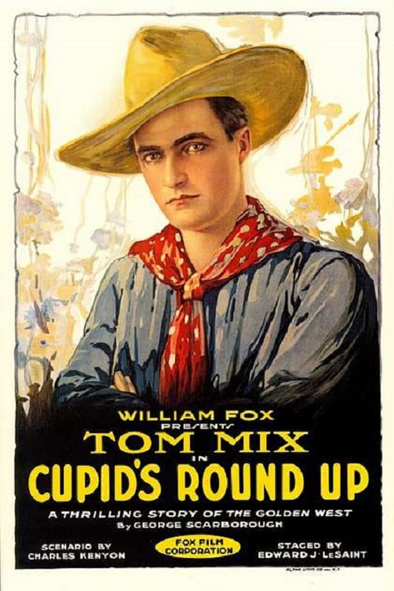 Poster of Cupid's Roundup