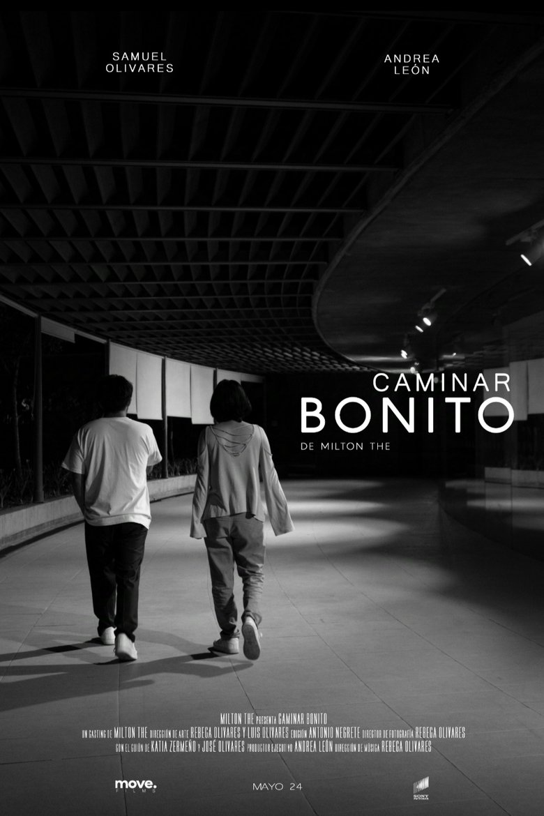 Poster of Caminar bonito