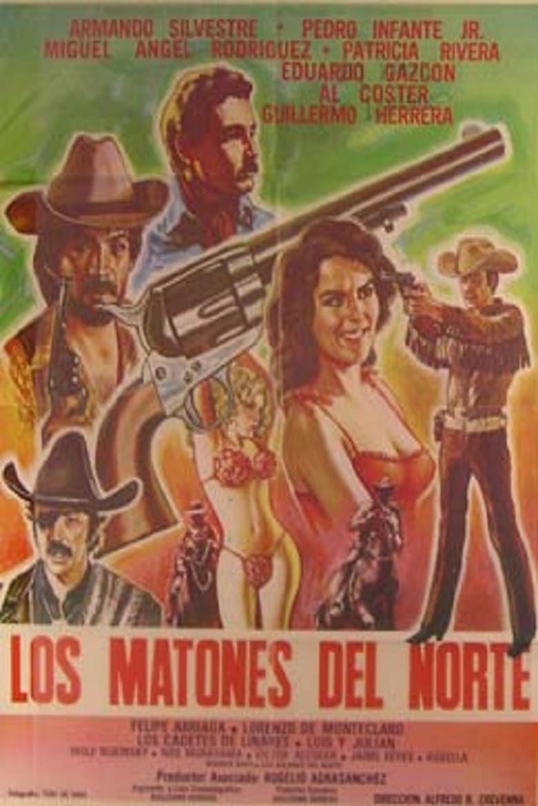 Poster of Los matones del norte