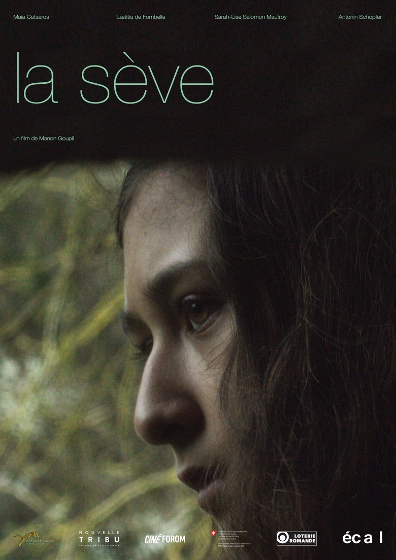 Poster of The Sap