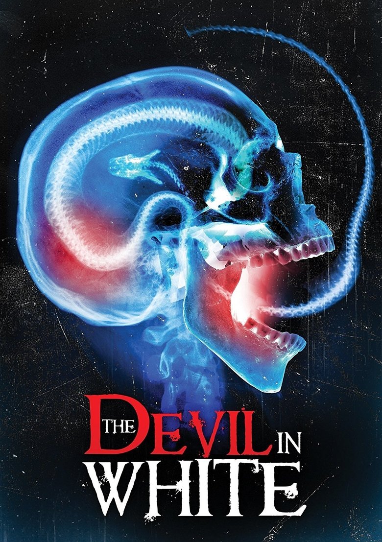 Poster of The Devil in White