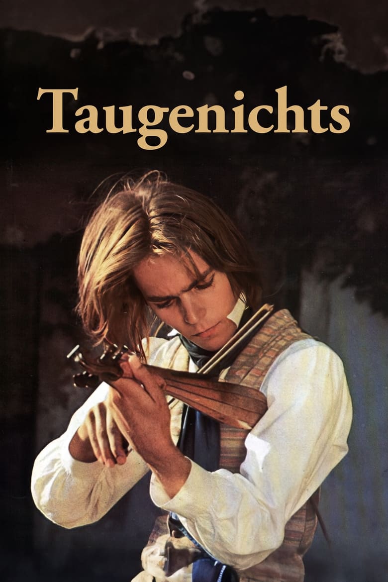 Poster of Taugenichts