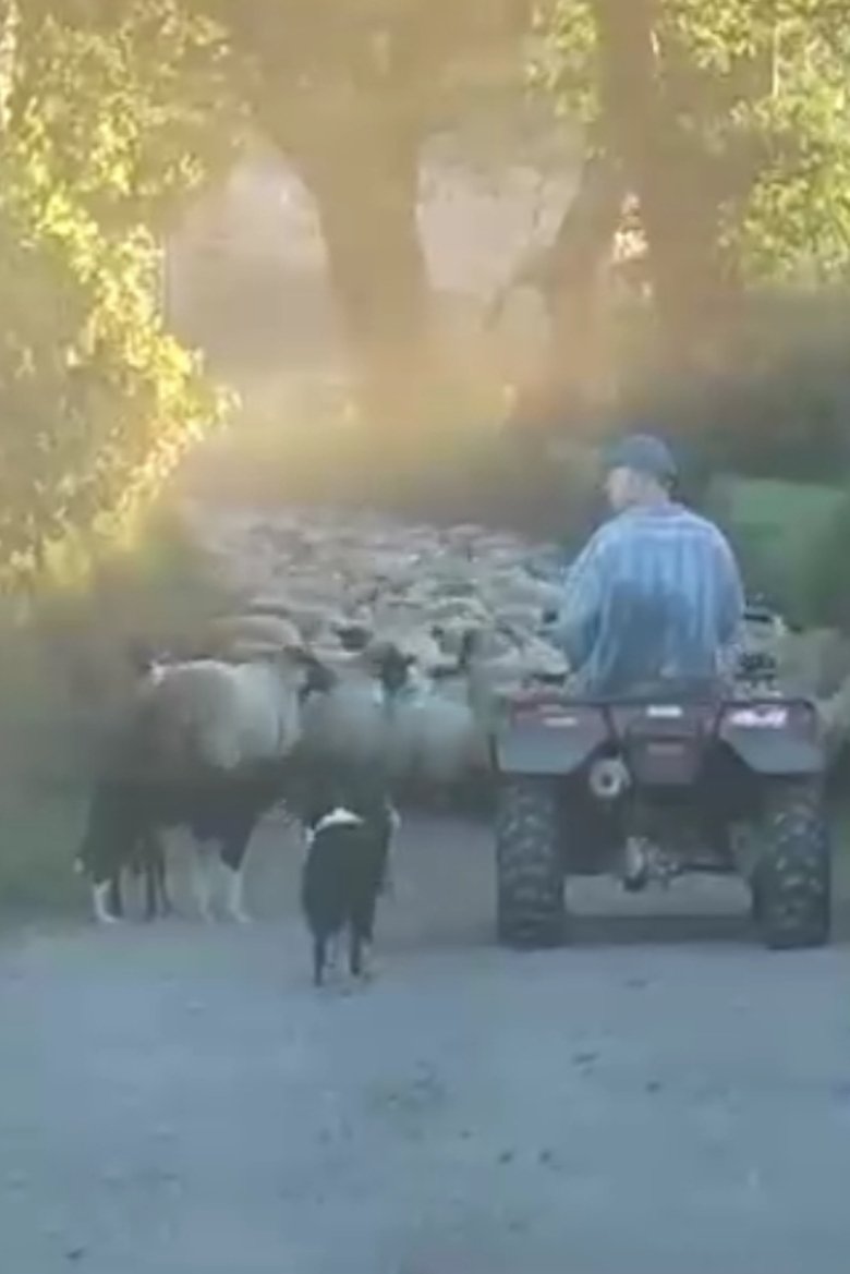 Poster of Farm Film