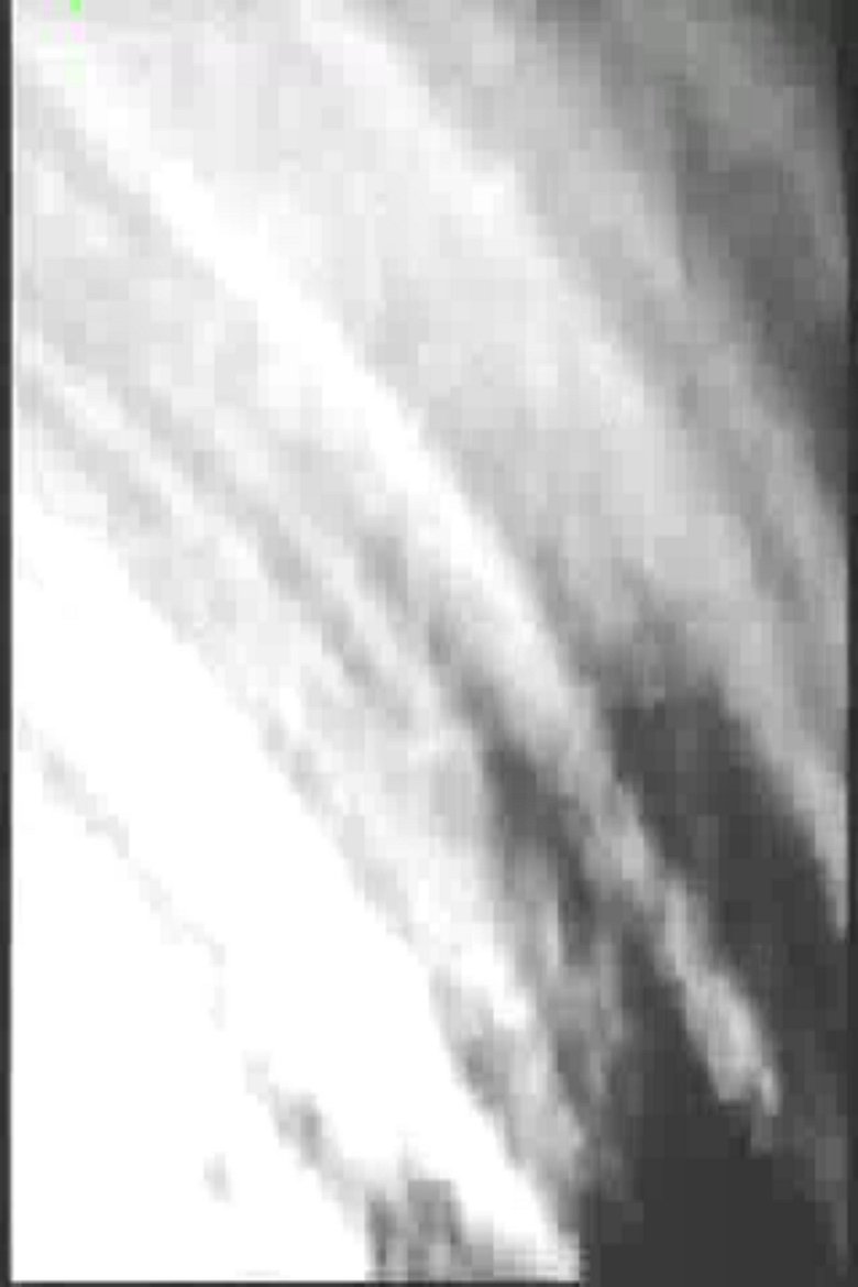 Poster of YHVH