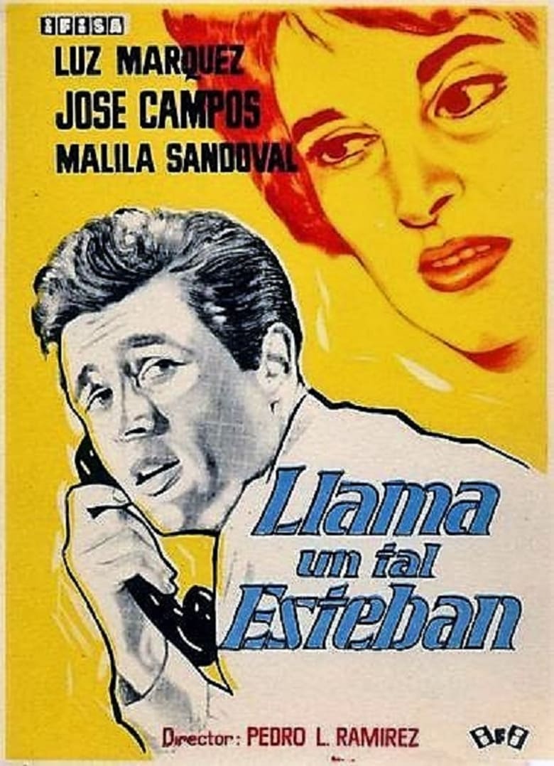 Poster of Llama un tal Esteban