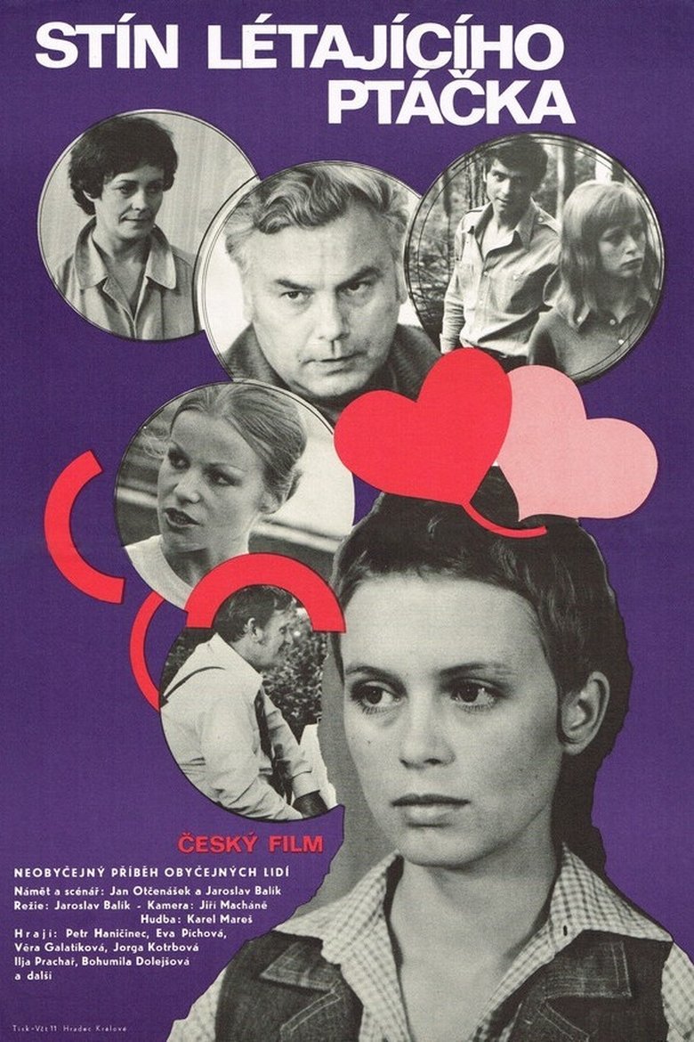 Poster of Shadow of a Flying Bird