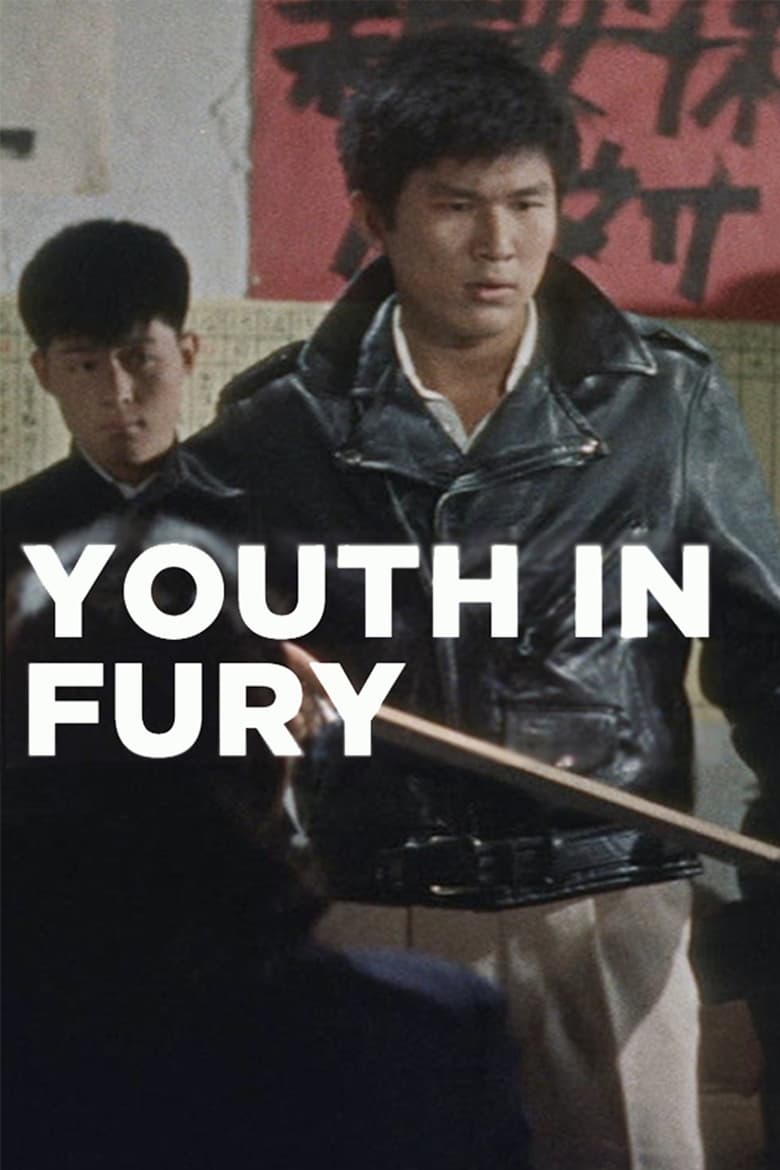 Poster of Youth in Fury