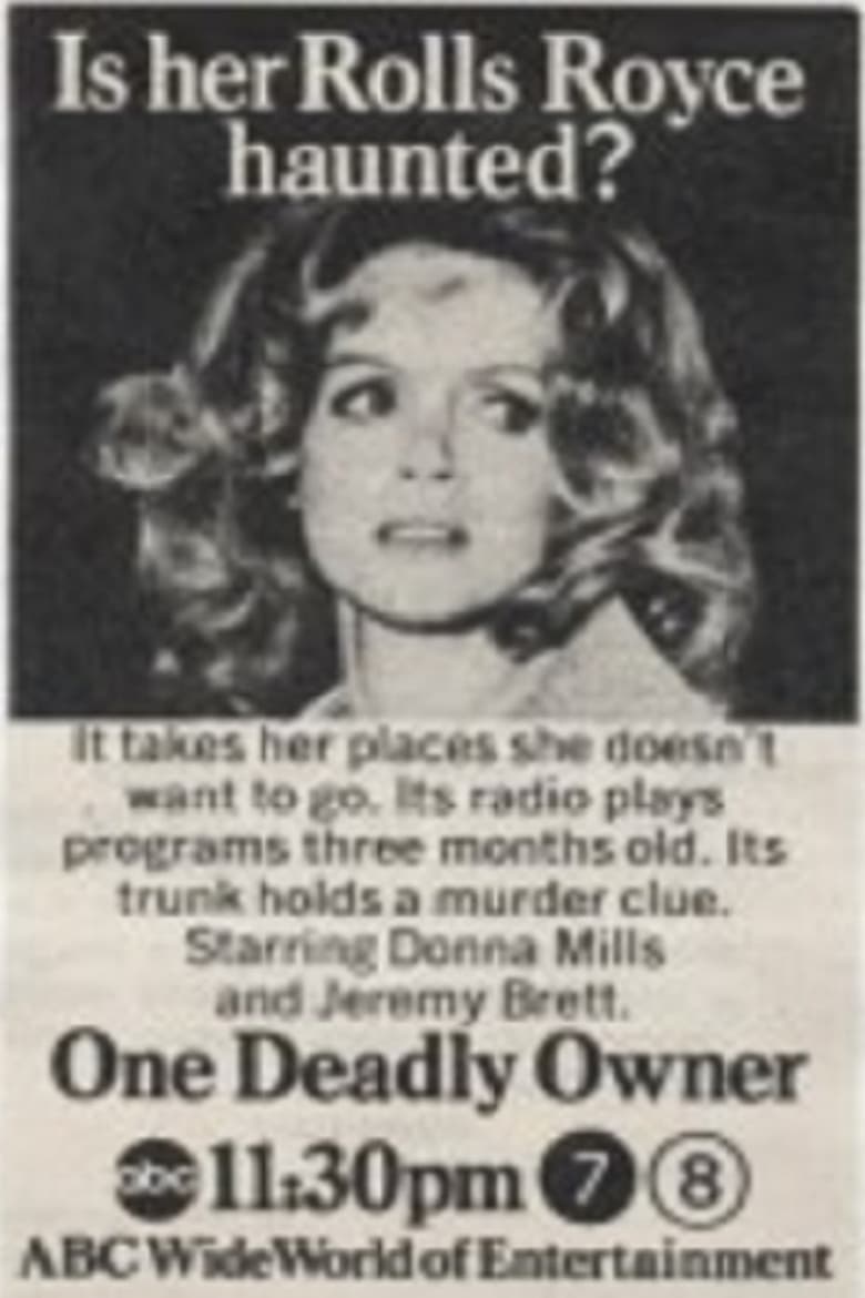 Poster of One Deadly Owner