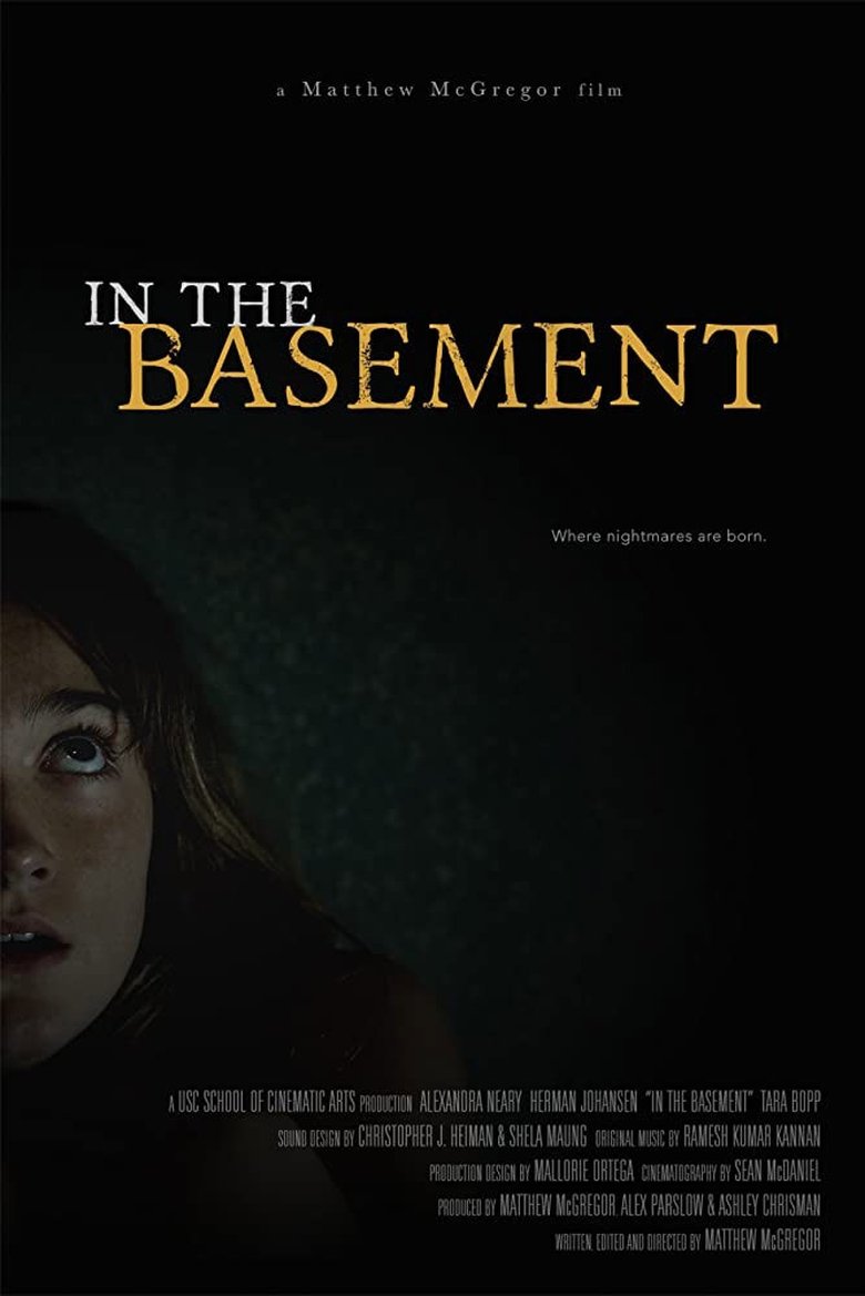 Poster of In the Basement