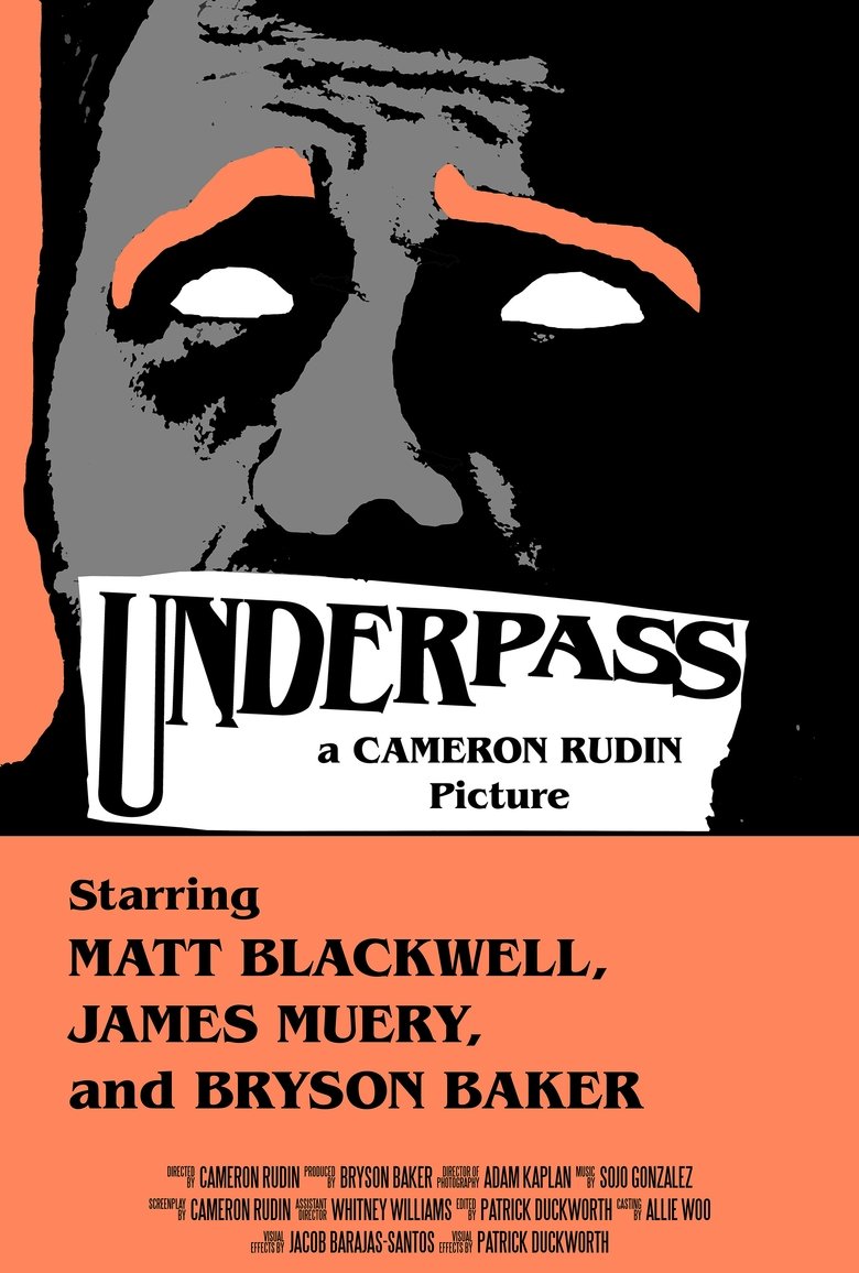 Poster of Underpass