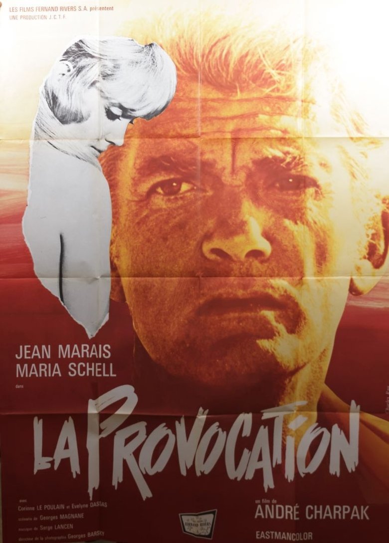 Poster of The Provocation