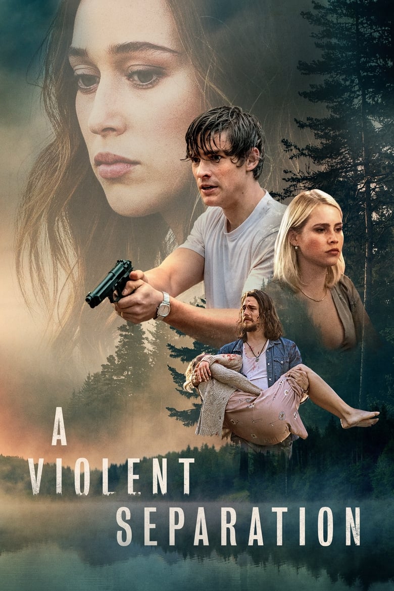 Poster of A Violent Separation