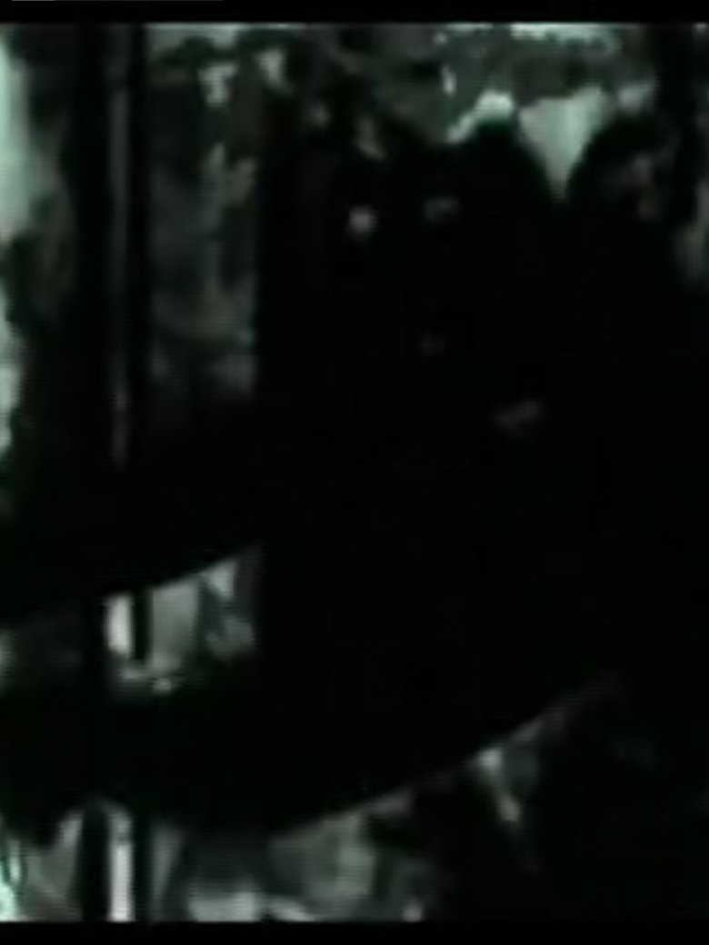 Poster of 7 Videos: #5