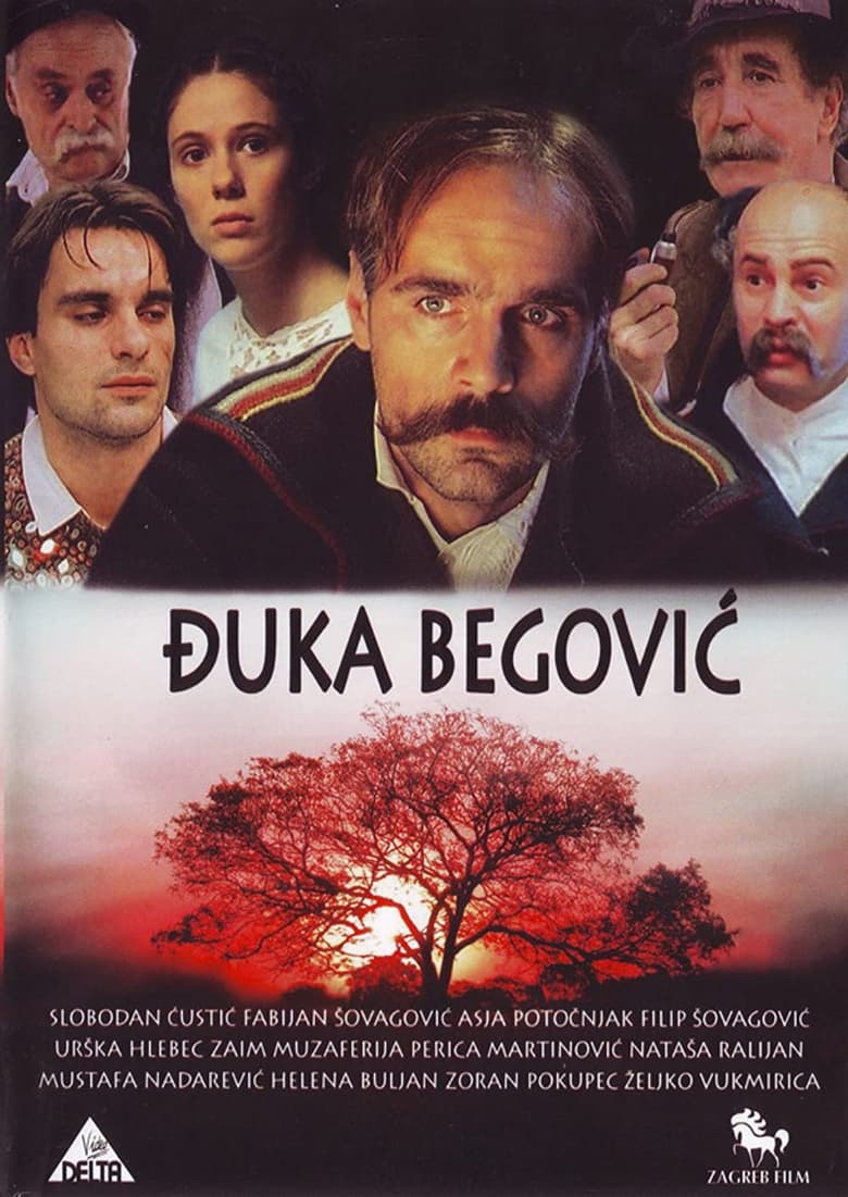 Poster of Djuka Begovic