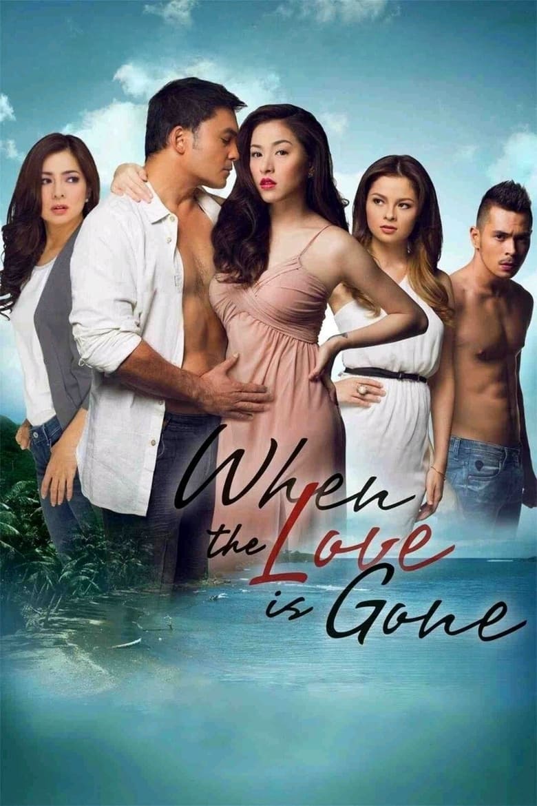Poster of When the Love Is Gone