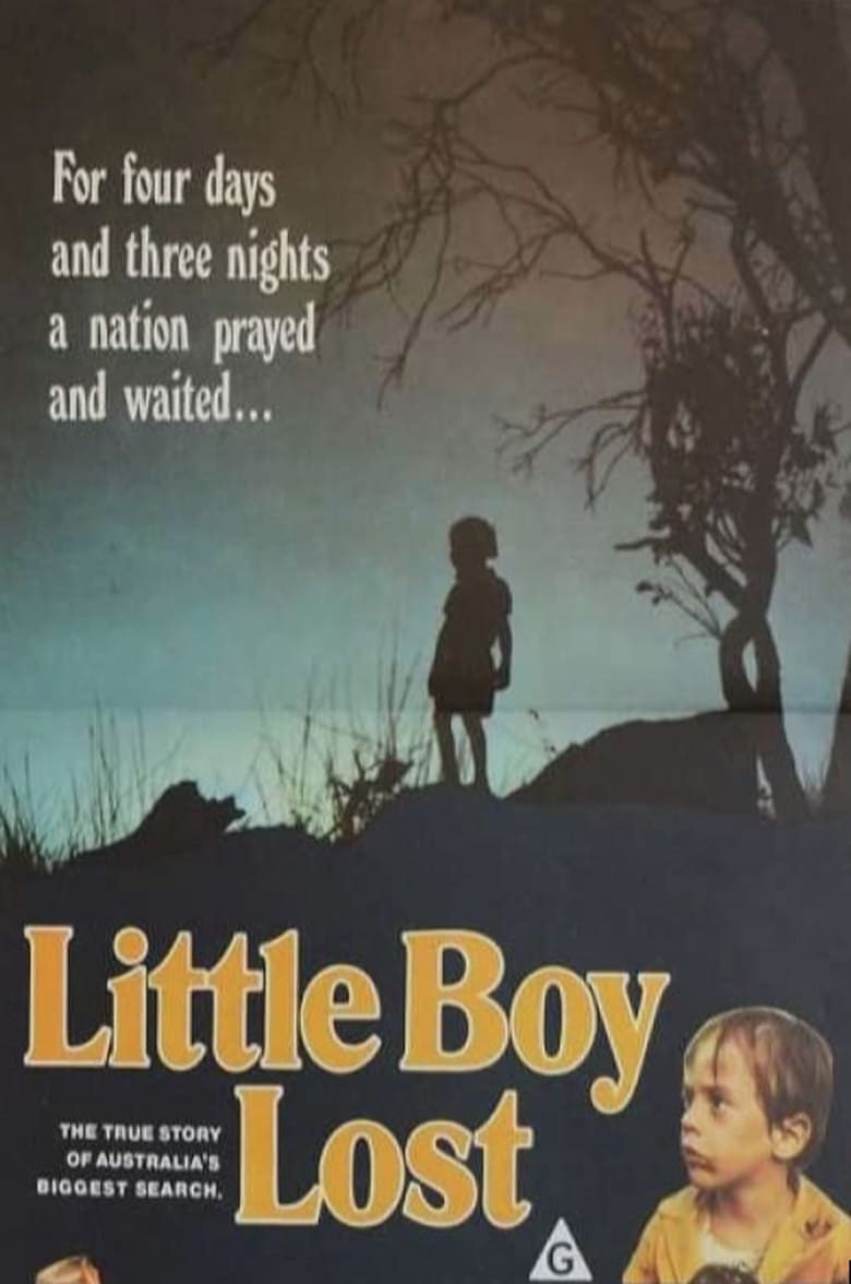 Poster of Little Boy Lost