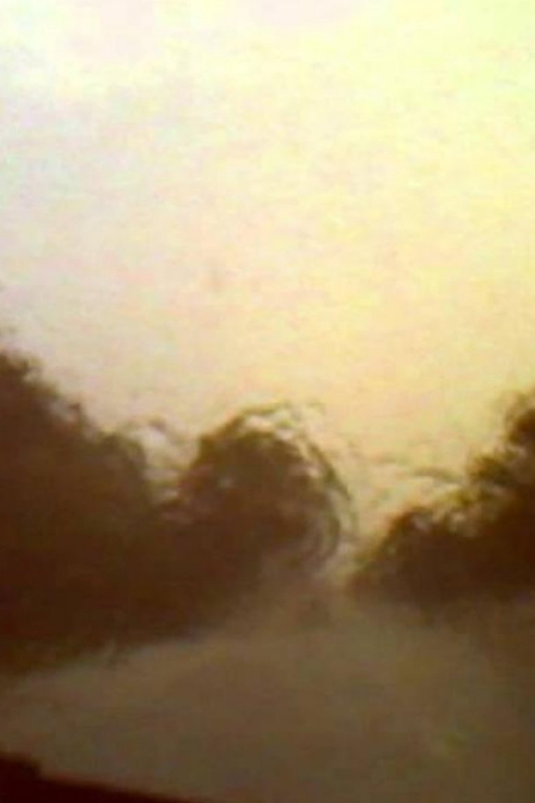 Poster of Venezia 70 - Future Reloaded, Apichatpong Weerasethakul