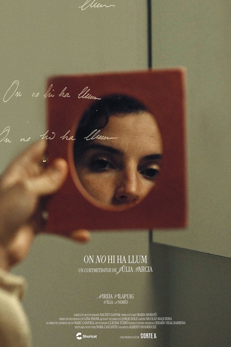Poster of Where there is no light