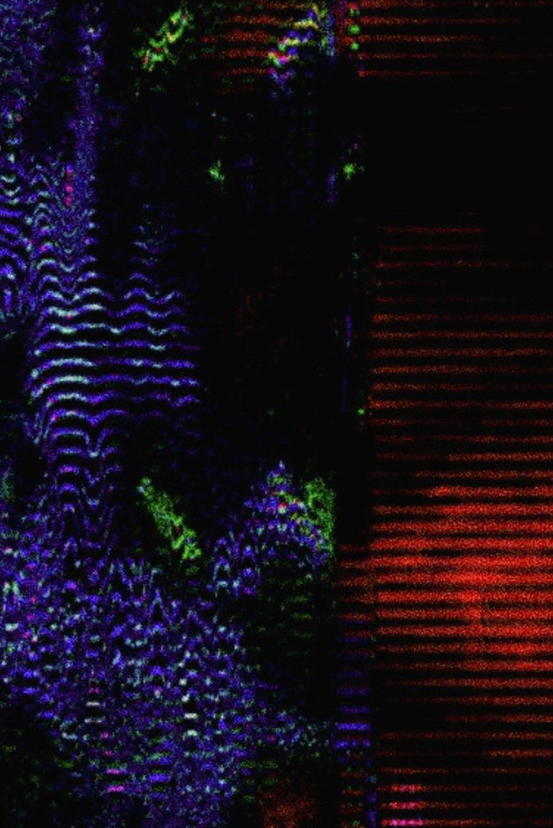 Poster of We Are Only Time