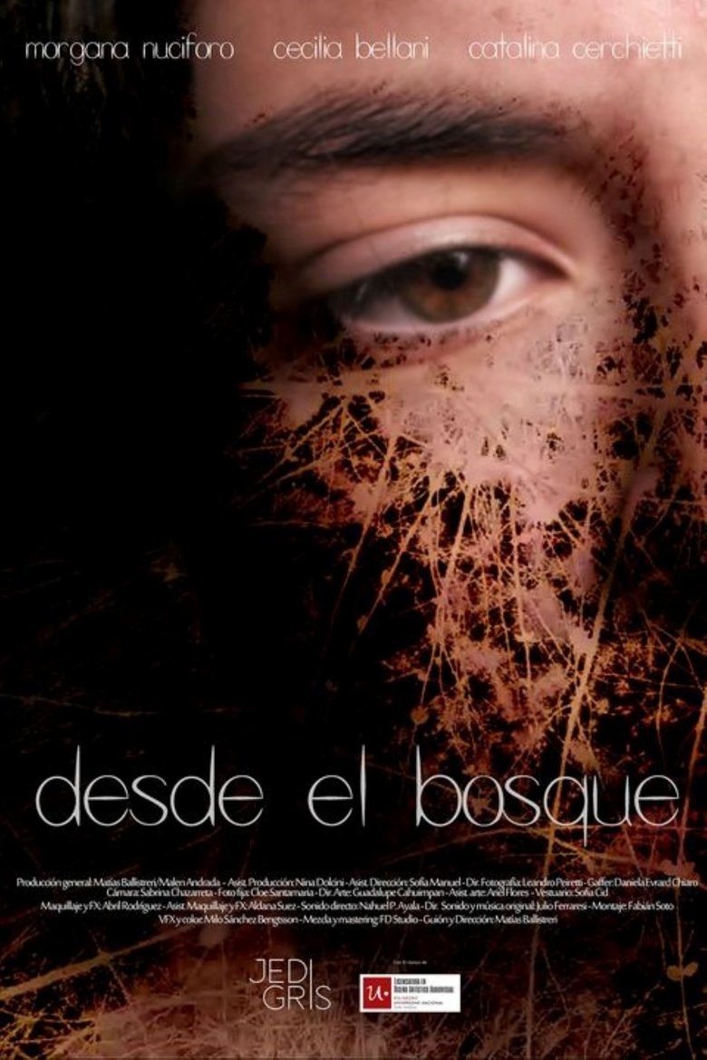 Poster of From the forest