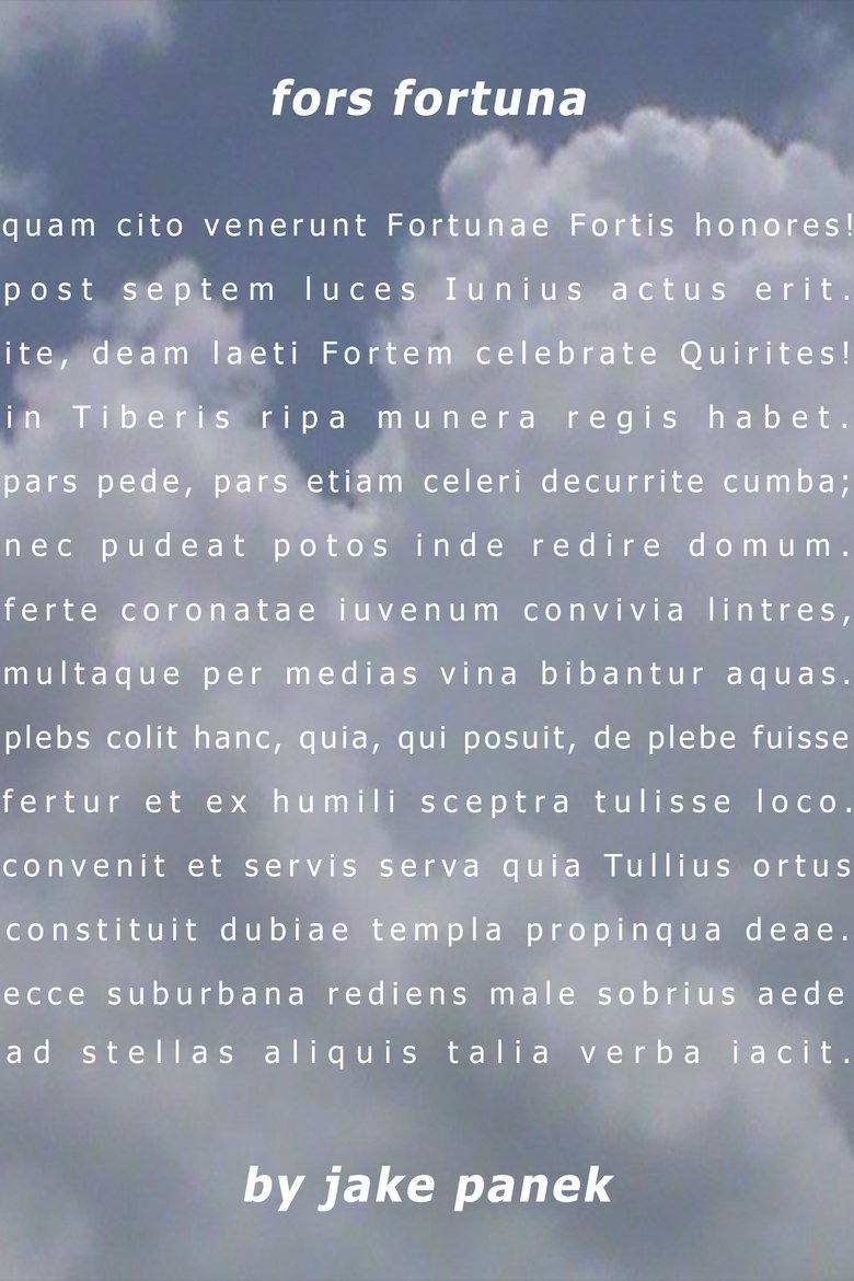 Poster of fors fortuna