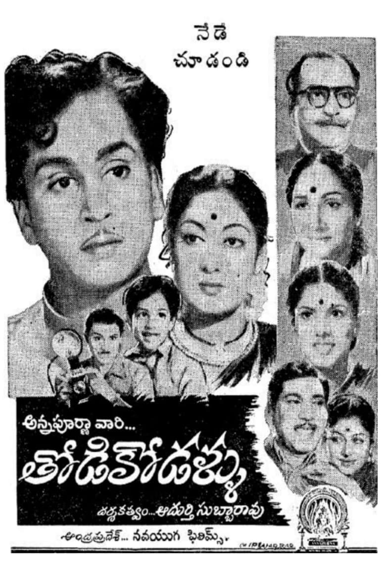 Poster of Daughters-in-law
