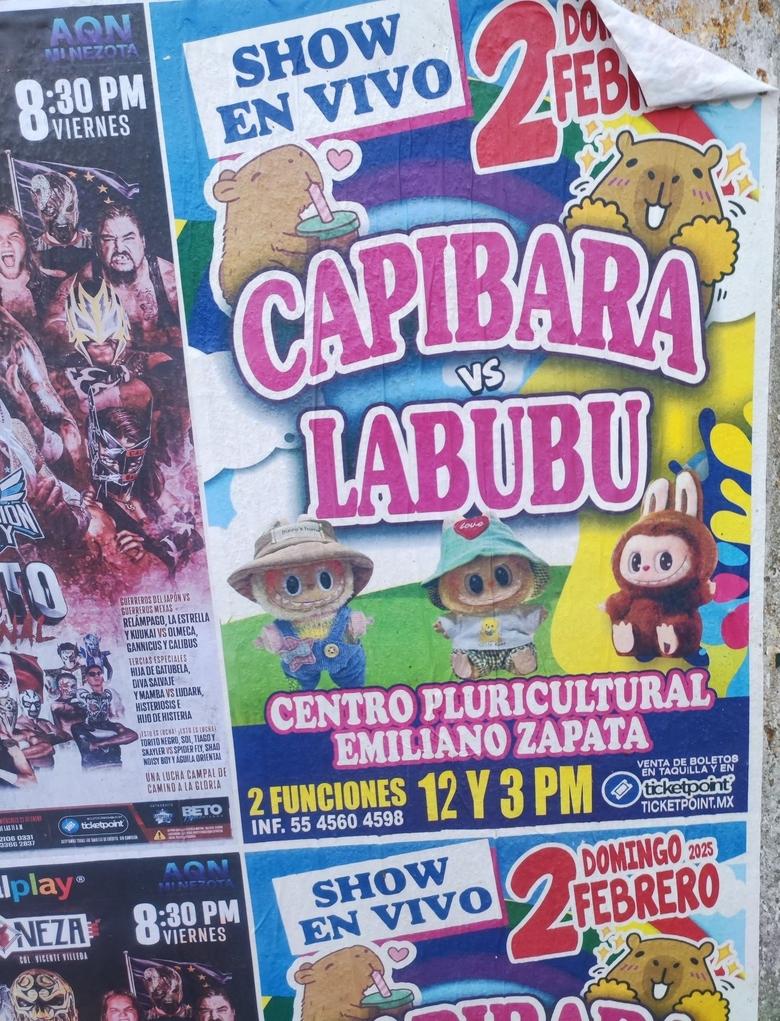 Poster of Capybara vs. Labubu