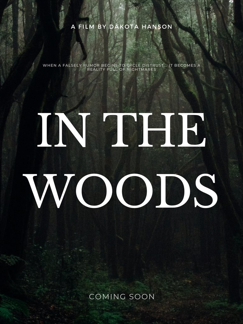 Poster of In The Woods